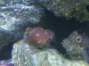 IMG00006-20091112-1105.jpg