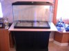 New 65 Setup and build 003.jpg