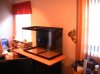 New 65 Setup and build 008.jpg