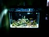 reef 001.jpg