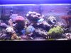 New 65 Setup and build 012.jpg