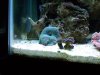 000_0542.jpg