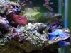 000_0545.jpg