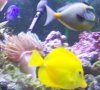 MORE FISH 125 020.jpg