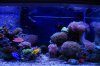 DSC_0127_1.jpg