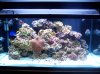 100_2151.jpg
