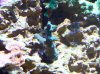 100_2153.jpg
