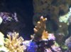 100_2154.jpg