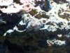 100_2156.jpg