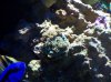 100_2157.jpg