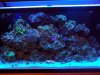 100_2163.jpg