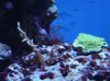 DSC03084.jpg