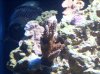 100_2179.jpg