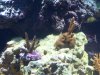 100_2180.jpg
