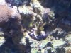 100_2181.jpg