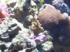 100_2182.jpg