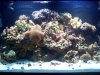 100_2183.jpg