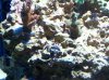100_2185.jpg