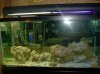 Fish 031.jpg