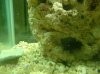 Fish 047.jpg