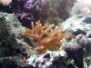 1201091106.jpg