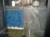 fish 089.jpg