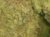 fish 082.jpg