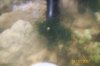 100_1524.jpg