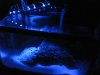 10gal-led-module.jpg
