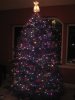 tree.jpg