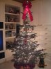 doggy tree.jpg