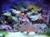 fts.JPG