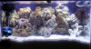 PC140006.JPG