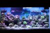 img_1144mod.jpg