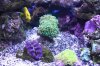 img_1147mod2.jpg