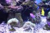 img_1148mod3.jpg