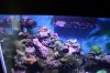 img_1149mod.jpg