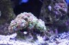 img_1154mod.jpg
