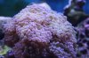 img_1282mod.jpg