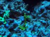 100_2343.jpg
