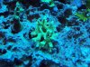 100_2344.jpg