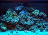 100_2345.jpg