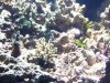 100_2346.jpg