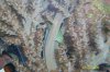 Green Coral Goby Hangin Out.JPG