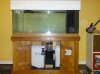 DSC00105.jpg