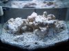 100_2363.jpg