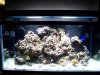 100_2364.jpg