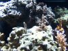 100_2366.jpg