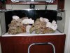 DSCN1382_069.JPG