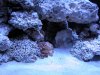DSCN1397_082.JPG